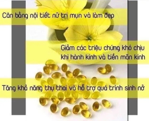 a659 - Hanmi - Viên uống Tinh Dầu Hoa Anh Thảo Gamma Linolenic Acid Hộp 180 Viên