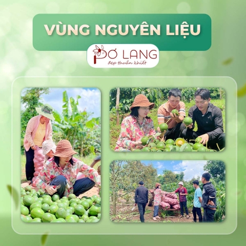 Nước Thơm Mùi Già Pơ Lang Giúp Giảm Khuẩn, Làm Thơm, Mang Lại Hương Thơm Thanh Sạch, Thư Thái 160ml