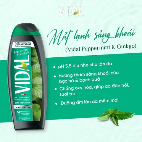 Dầu Gội 2 Trong 1 Ý Vidal Hương Thơm Quyến Rũ, Giúp Tóc Óng Mượt & Chắc Khỏe, Dành Cho Cả Gia Đình 250ml/500ml