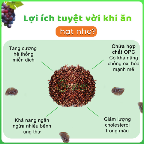 e580 - Nho Đỏ Sấy Lạnh Không Đường Rangfarm 220g (Có hạt ăn cả hạt)