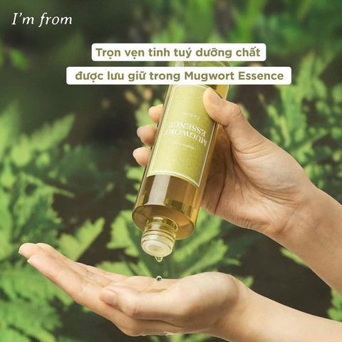 Tinh Chất I’m from Mugwort Essence Chiết Xuất Ngải Cứu Phục Hồi, Làm Dịu Da Hàn Quốc 30ml