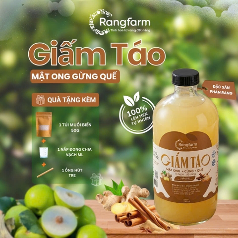 e554 - Giấm Táo giảm cân Nguyên chất - Nghệ Mật Ong, Lên Men Tự Nhiên Rangfarm 500ml