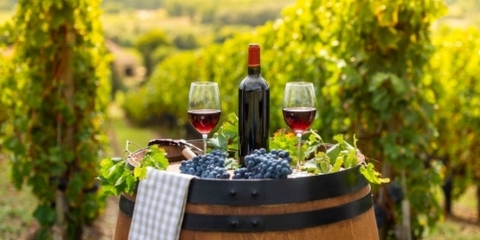 Khám phá đường dư trong những chai vang