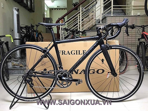 Xe đạp đua chuyên nghiệp : COLNAGO C59 - MỚI 100%