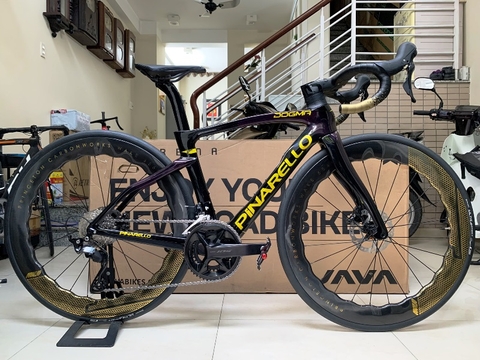 Xe đạp đua PINA DOGMA F (F14) - Khung, vành Full Carbon, Full group Shimano 105 R7120 thắng đĩa dầu. Màu Đen đổi màu/chữ gold