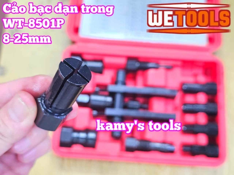 Bộ cảo bạc đạn trong chữ H từ 8-25mm 10 chi tiết Wetools WT-8501P
