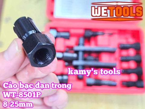 Bộ cảo bạc đạn trong chữ H từ 8-25mm 10 chi tiết Wetools WT-8501P