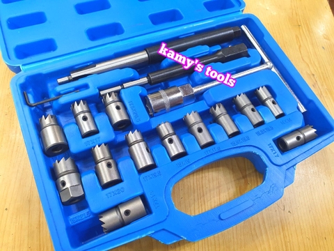 Bộ dụng cụ vệ sinh sam béc dầu, làm sạch lỗ kim phun máy dầu diesel 17 chi tiết Trigoldte