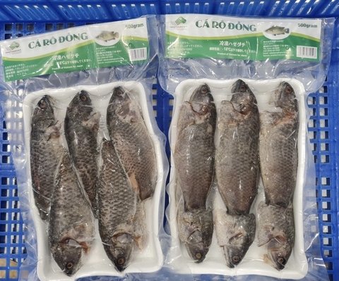 Cá rô đồng 500gr