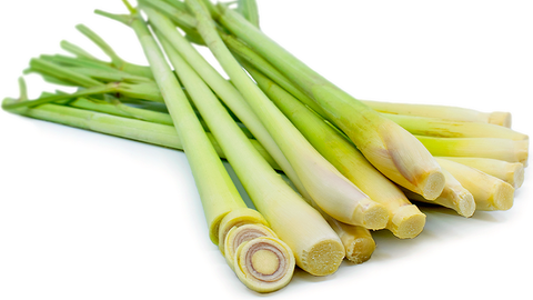 Sả Tươi (500gr) レモングラス