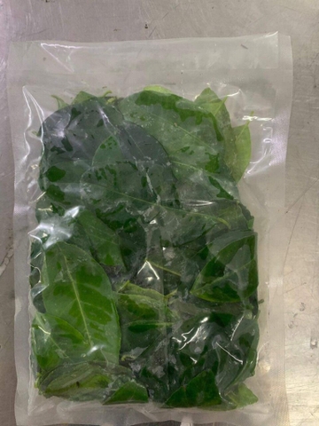 Lá chanh 冷凍バイマックル KAFFIR LIME LEAF 100gr