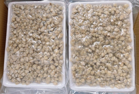 Thịt Hến Đông Lạnh ICHIBA