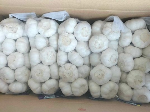 Củ tỏi ( bịch 1kg)