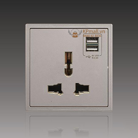 Module ổ cắm đơn 3 chấu đa năng kèm 2 ổ USB màu Sâm Panh Simon i7 70E725-46