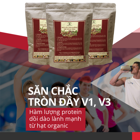 Ngũ cốc tập Gym & Yoga Queen Milk