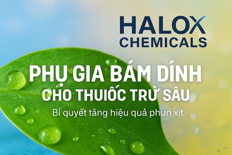 Phụ gia bám dính, trải đều cho thuốc trừ sâu – bí quyết tăng hiệu quả phun xịt