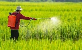 So sánh dung môi DMF, NMP, Xylene trong công thức BVTV