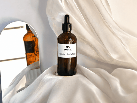 Comfort Bạch Ngọc - Hương vải trắng tinh khôi cho nước giặt xả