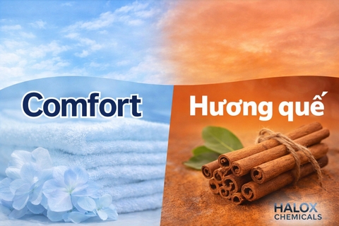 Tạo đột phá cho mùi hương “Comfort” và “Quế” trong ngành Homecare tại Việt Nam