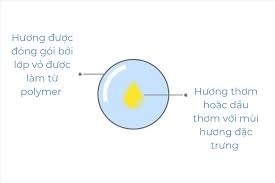 Hạt Lưu Hương Sử Dụng Trong Nước Giặt Và Nước Xả: Bí Quyết Giữ Mùi Hương Lâu Dài Cho Quần Áo