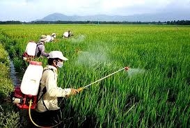 Công thức pha chế thuốc BVTV dạng EC, SC, WP, SL