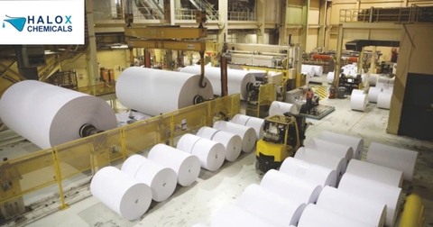 Chất bảo quản cho ngành giấy