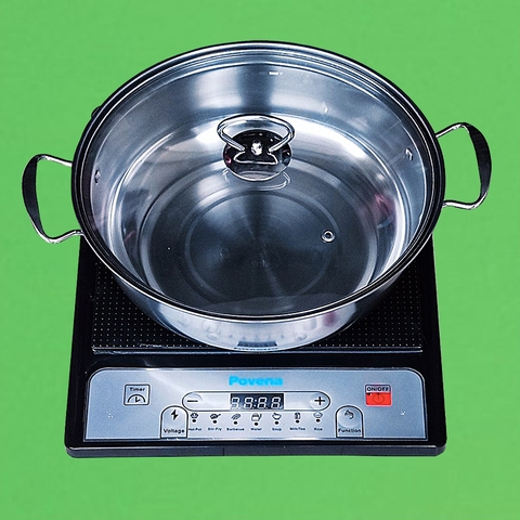 Bếp Từ Đơn POVENA - PVN21