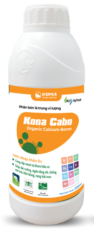 KONA CABO