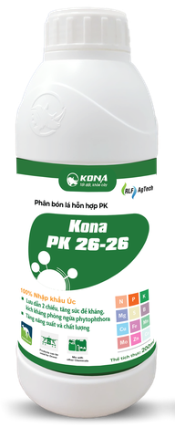 PK 26-26
