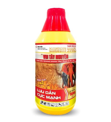 Voi tây nguyên 