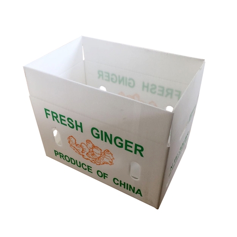 thùng pp danpla đựng nông sản