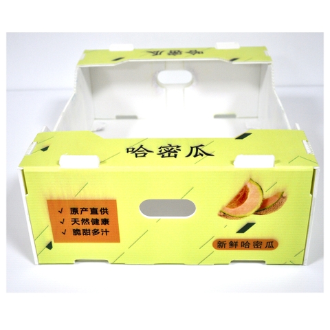 thùng đựng dưa nhựa danpla