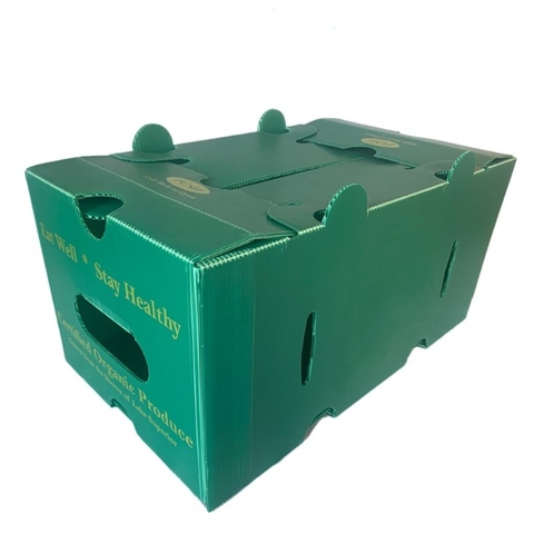 Thùng PP nhựa polypropylene đựng rau củ