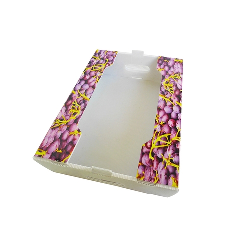 Thùng Đựng Trái Cây Nhựa Danpla