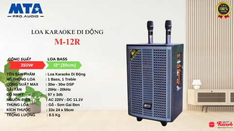Loa Karaoke Di Động M-12R