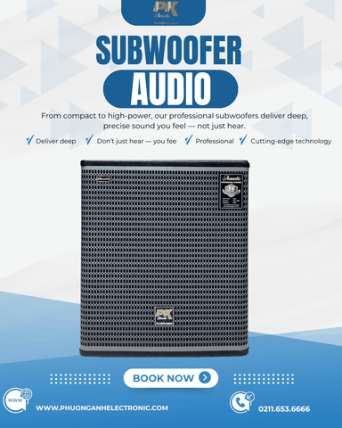 Loa trầm điện Bass 40 hiệu PK