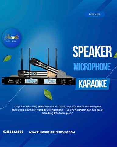 Micro không dây 4 dâu Acoustic, Model: A-10