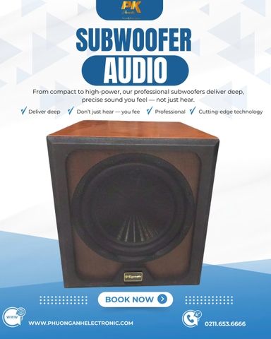 Loa sub điện bass 30 hiệu Acoustic PK