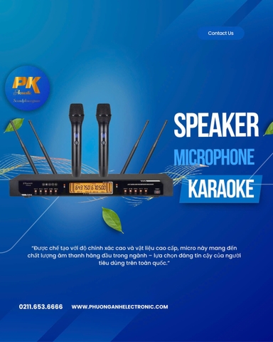 Micro không dây 4 dâu Acoustic PK - K12PLUS