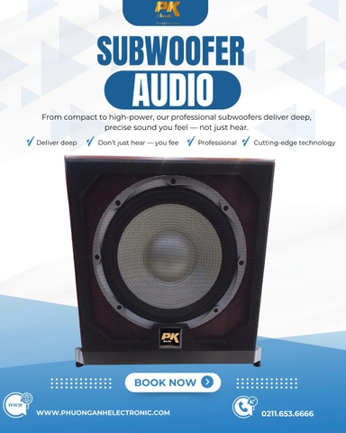 Loa trầm điện bass 30 PK màu vân gỗ