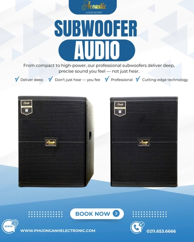 Loa SUB điện bass 30 Acoustic FW12