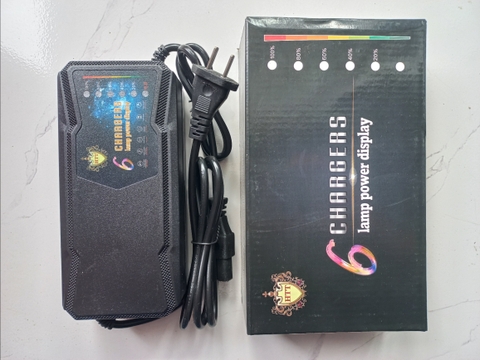 Bộ sạc ắc quy HTT 48V/ 12Ah- 115W