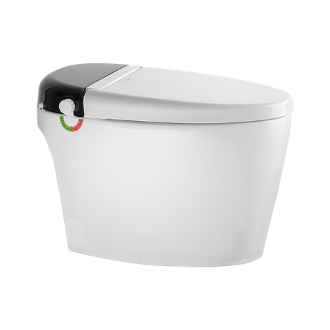 Bệt V9 đen