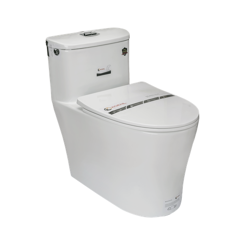 Bệt 2081