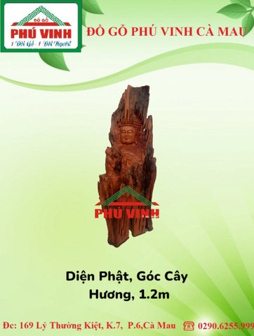 Diện Phật, Gốc Cây - Hương, 1.2m