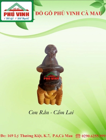 Con Rắn - Cẩm Lai