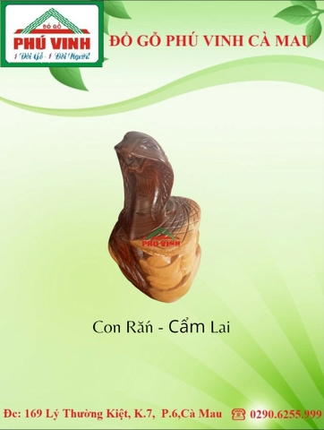 Con Rắn - Cẩm Lai