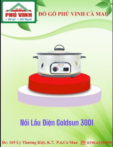 Nồi Lẩu Điện, Goldsun 3001