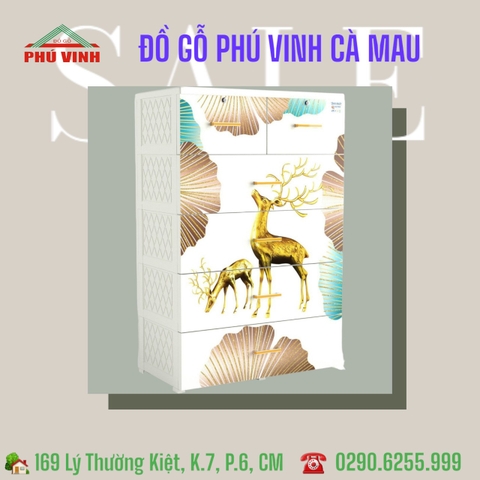 Tủ Nhựa , Deli Max, 5N