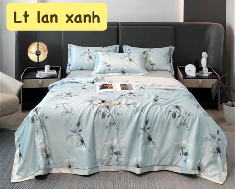 Sét 4 món lụa thái 2 áo gối nằm, 1 chăn, 1 drap